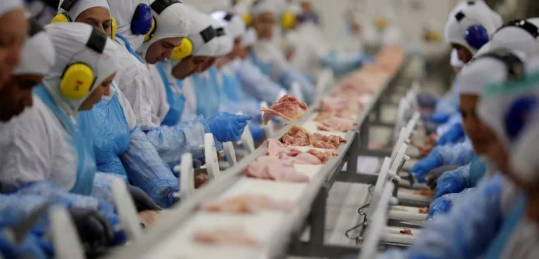 Indústria brasileira cresce 3,1% em 2024, impulsionada por consumo das famílias e aumento do emprego