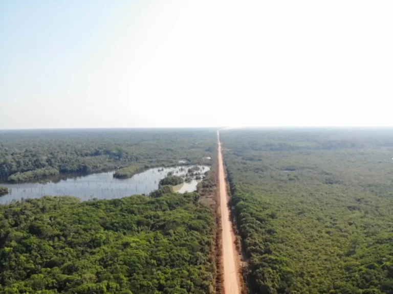 BR- 319 e a pressão sobre a floresta que segura o mundo