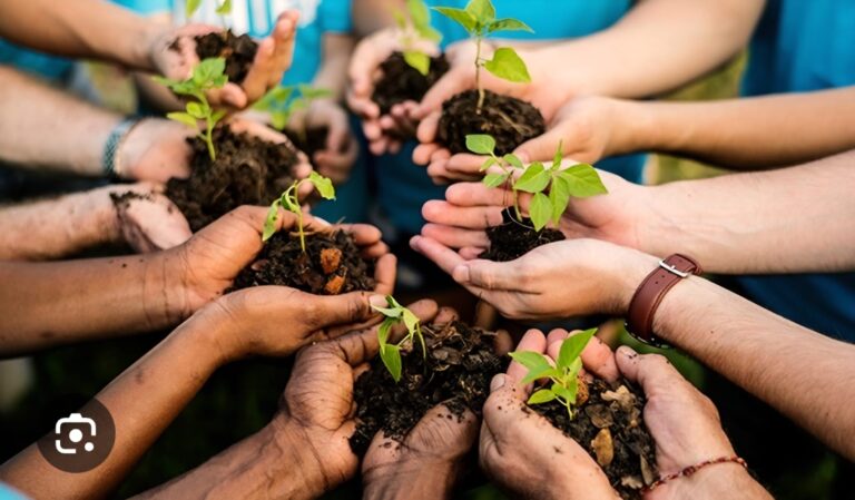 Socialismo Ambiental – crônica ambiental de uma viagem