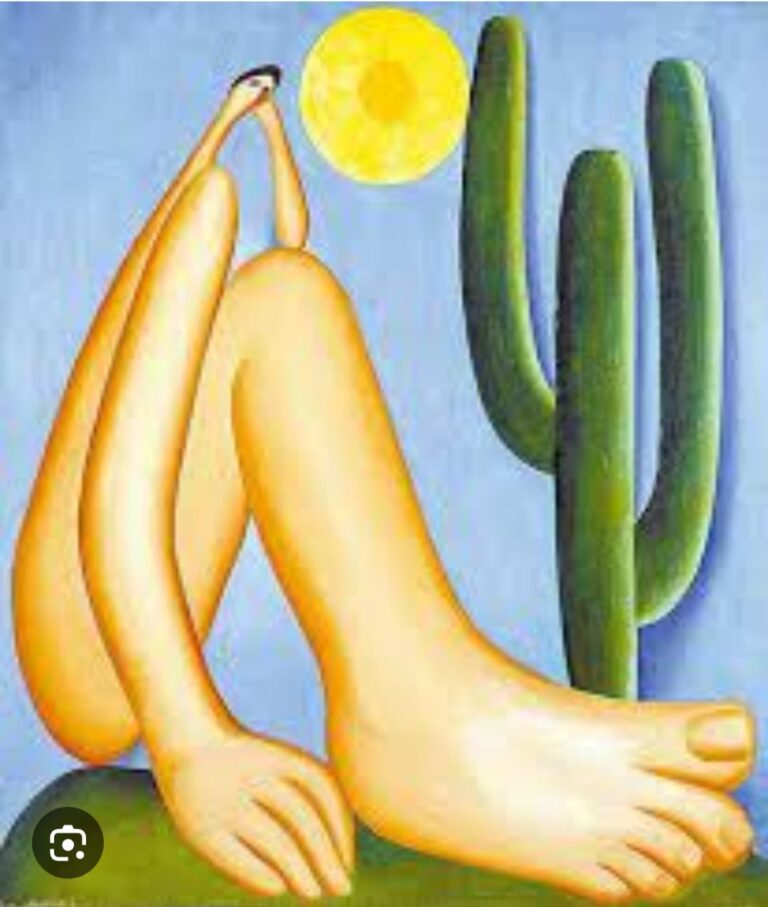 Por que vamos à escola?