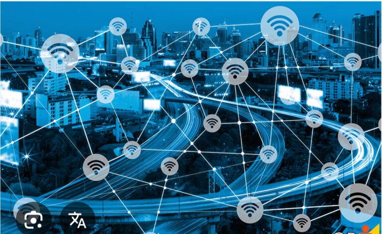 Platamorfização da vida social