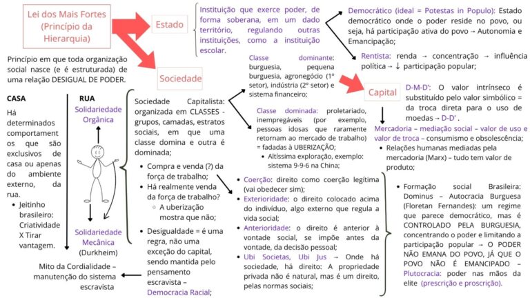 Estado, Poder e Desigualdade Social