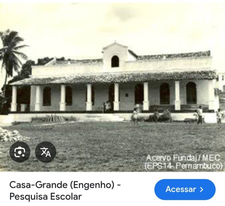 Educação Paulista – projeto de coisificação